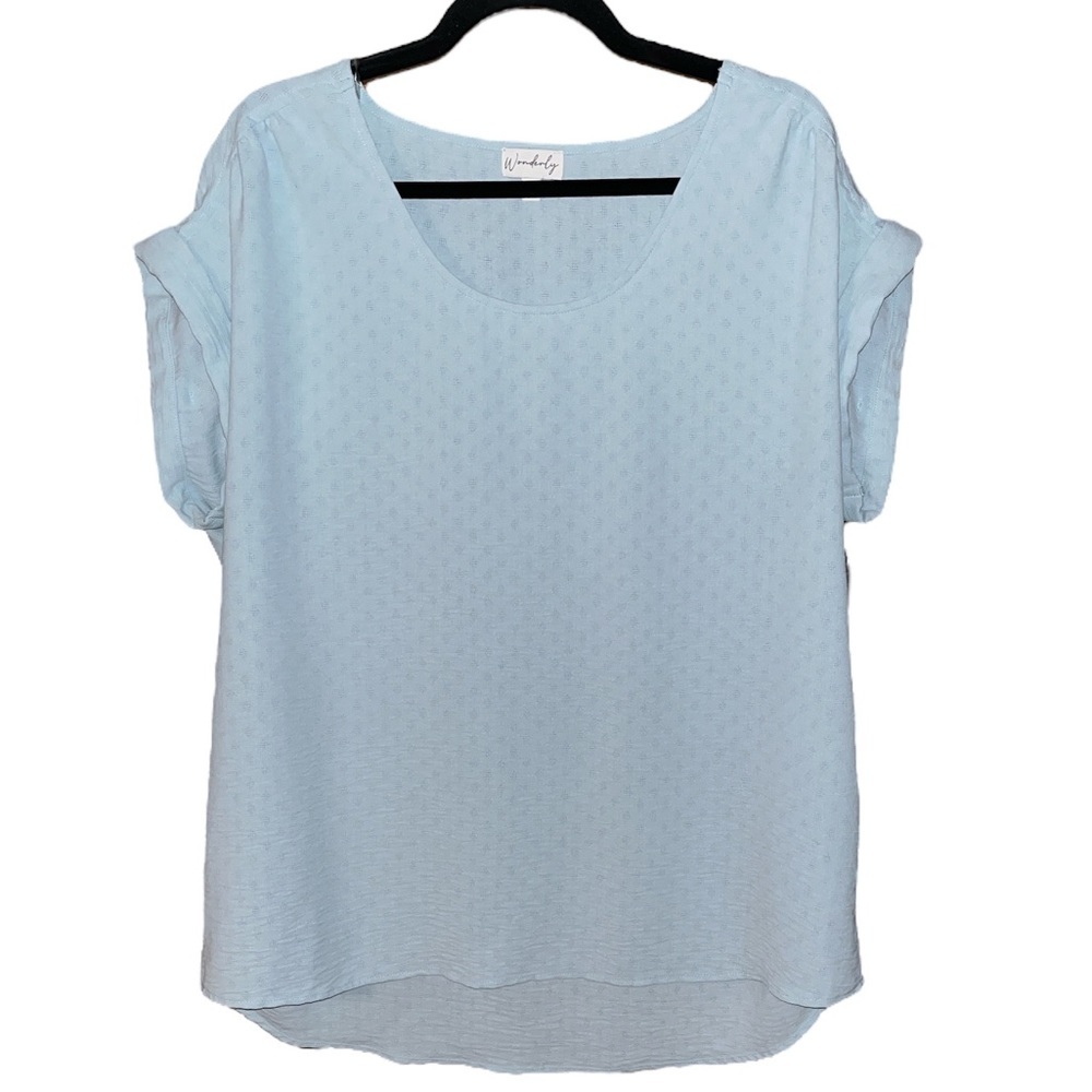 Wonderly Pastel Blue Top Size XL
